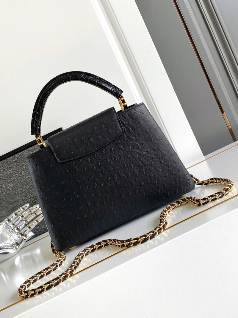 GoAnywhere LX Caxucines Bags 2096