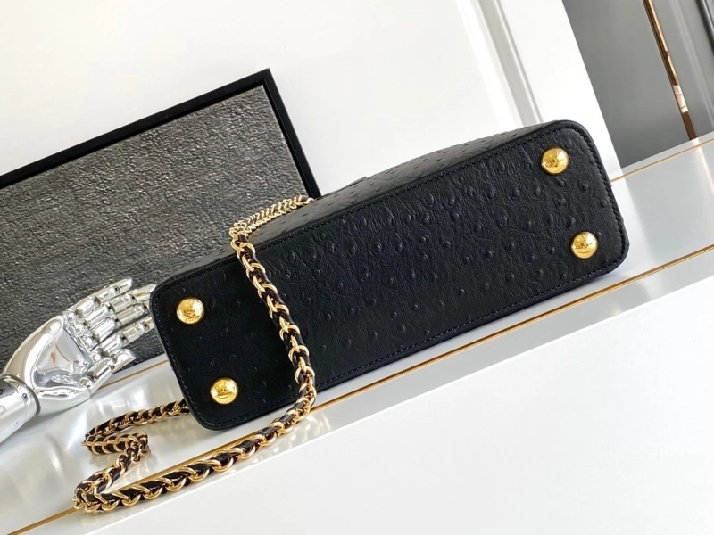 GoAnywhere LX Caxucines Bags 2096
