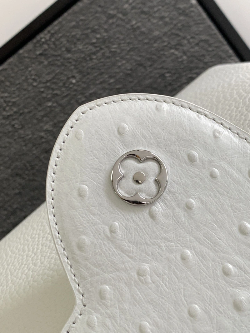 DailyWear LX Caxucines Bags 2094