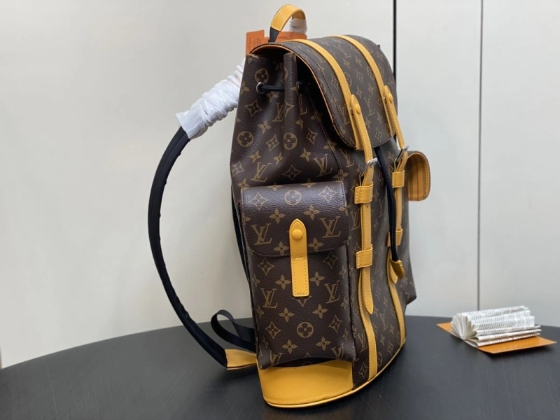 Stylish LX Backpacks 2123
