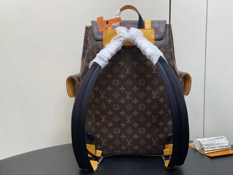 Stylish LX Backpacks 2123