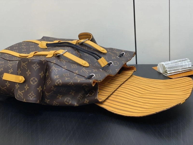 Stylish LX Backpacks 2123