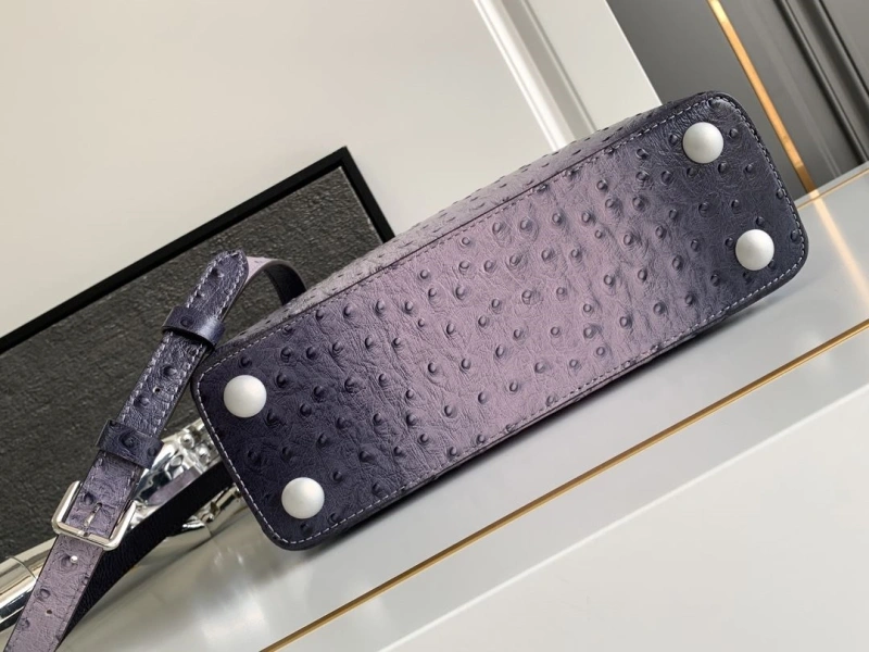 Trendy LX Caxucines Bags 2058