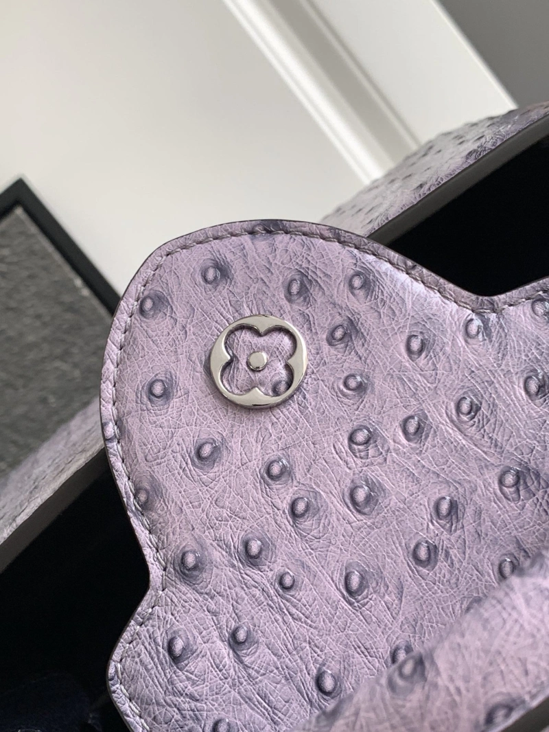 Trendy LX Caxucines Bags 2058