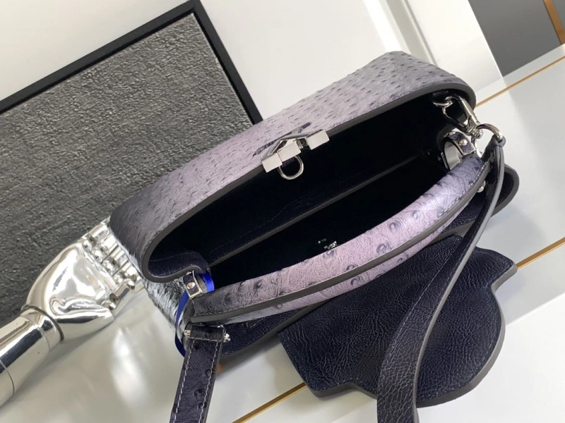 Trendy LX Caxucines Bags 2058