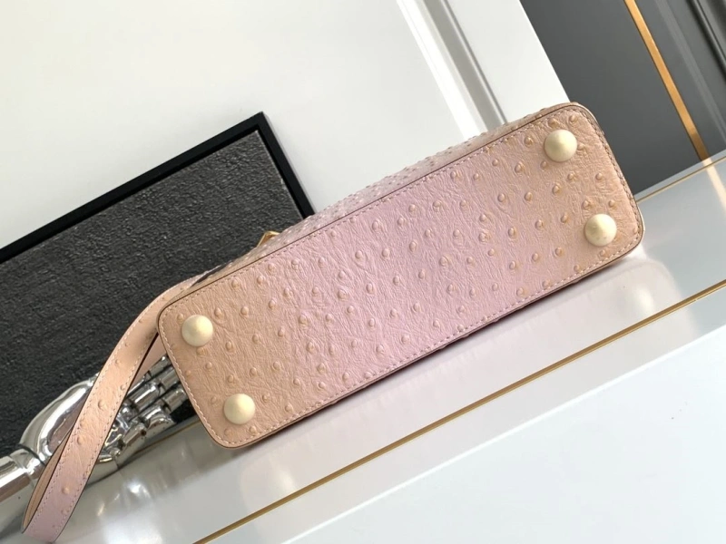LX Caxucines Bags Elegant 2055