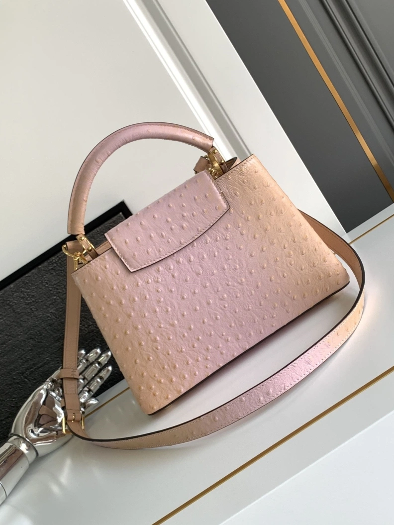 Classic LX Caxucines Bags 1325