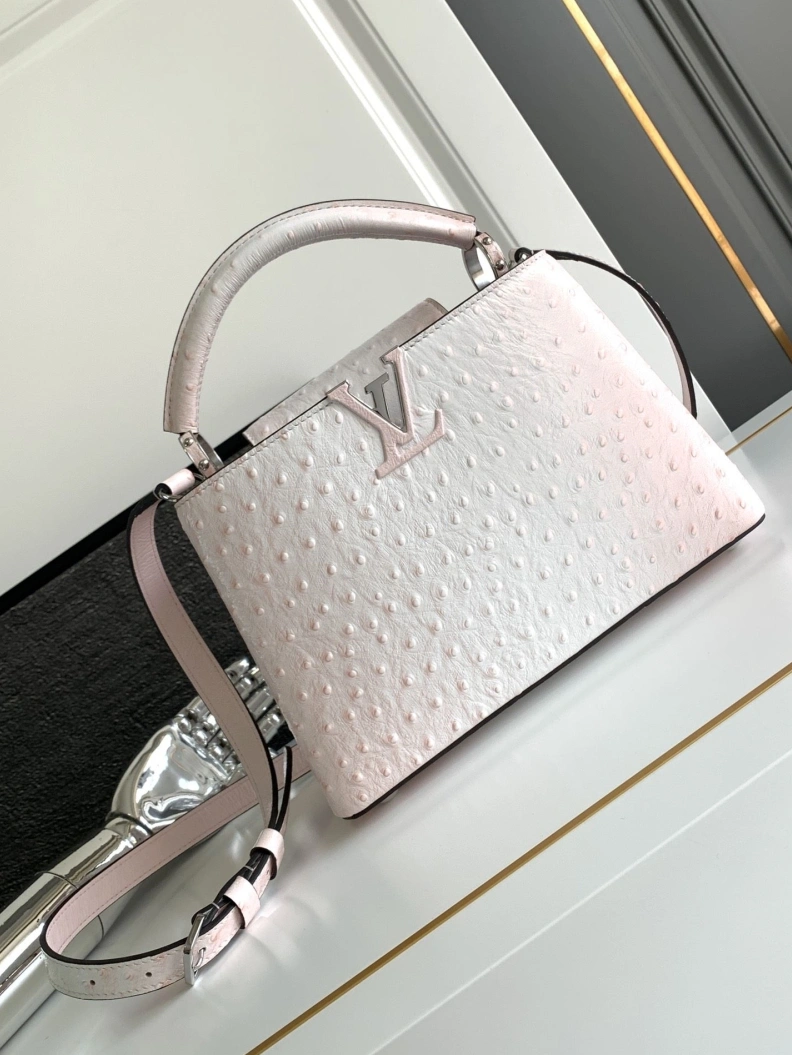 Classic LX Caxucines Bags 1310