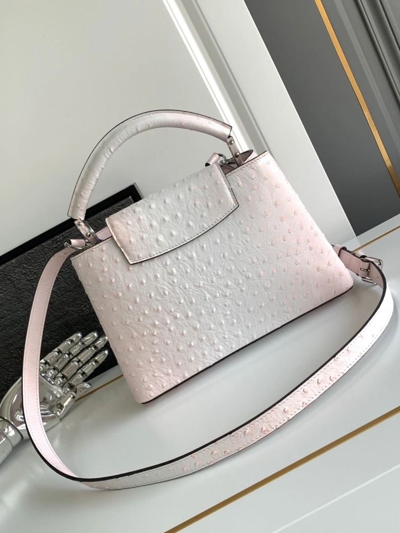 Classic LX Caxucines Bags 1310