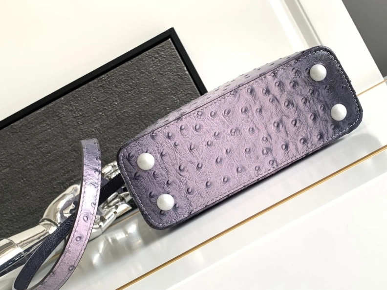 LX Caxucines Bags Sleek 1316