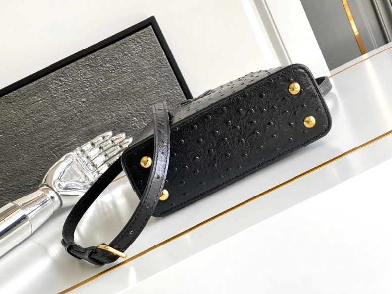 Sleek LX Caxucines Bags 1363