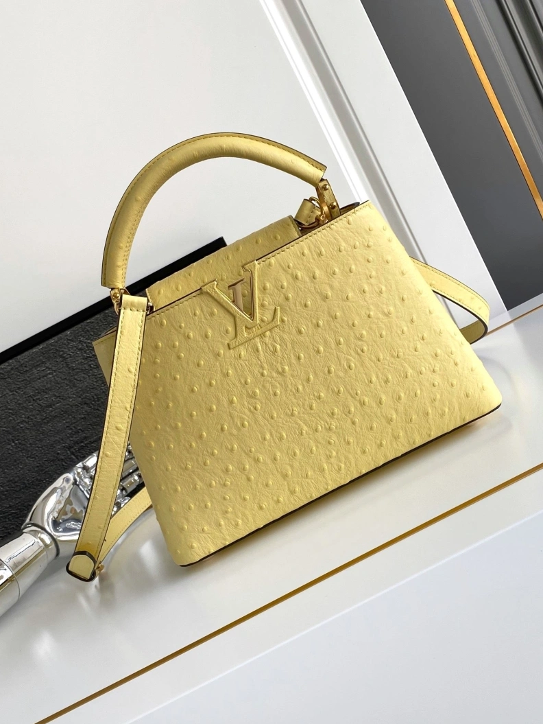 LX Caxucines Bags AllSeason 1298