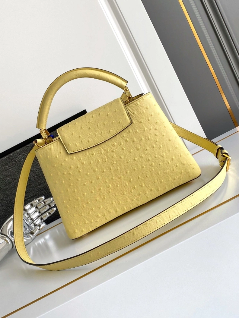 LX Caxucines Bags AllSeason 1298