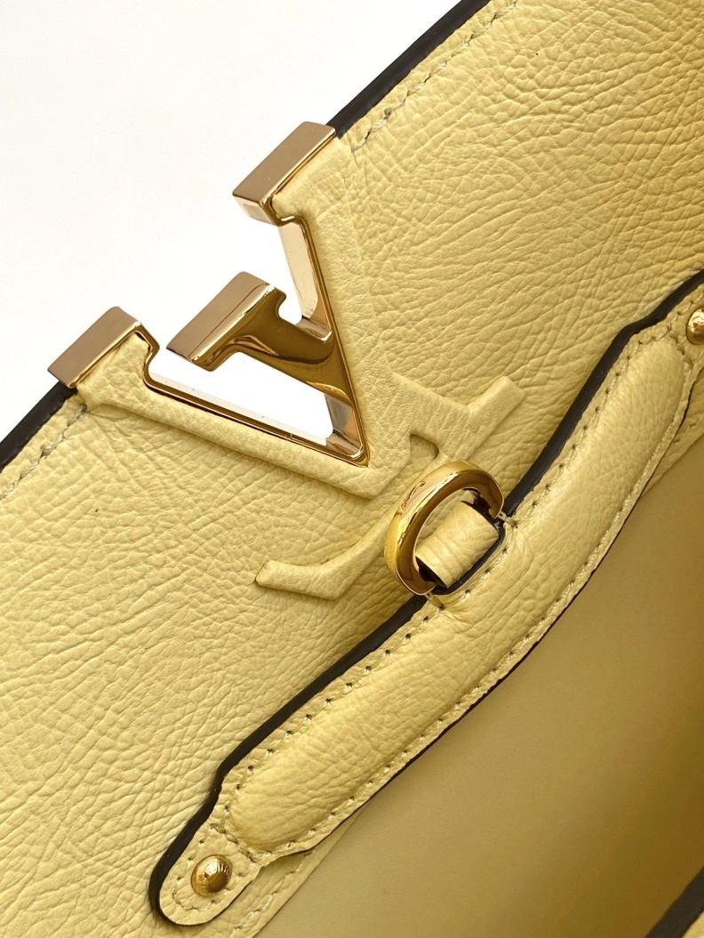 LX Caxucines Bags AllSeason 1298