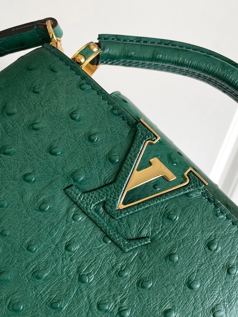 Stylish LX Caxucines Bags 1299