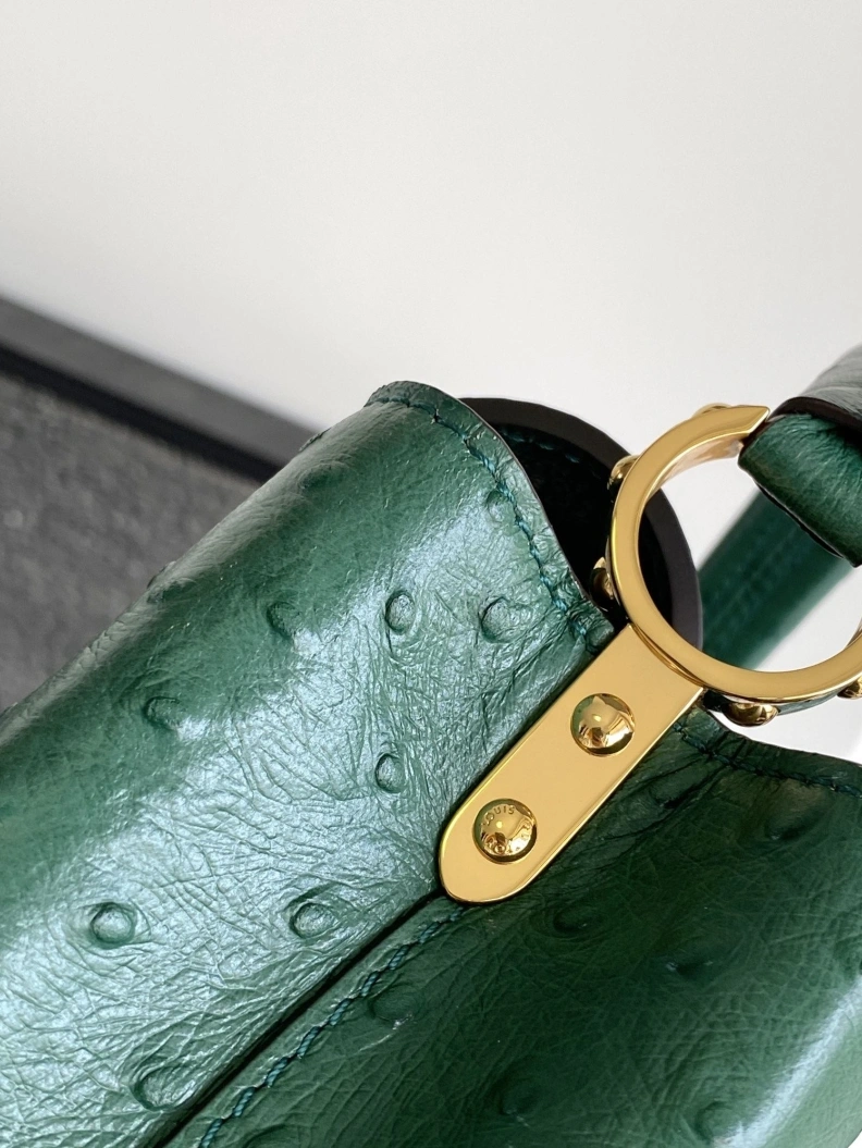 Stylish LX Caxucines Bags 1299