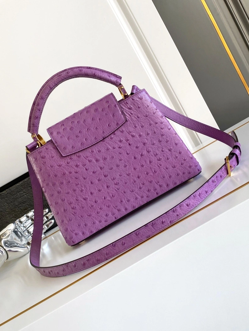 LX Caxucines Bags Fashionable 1269