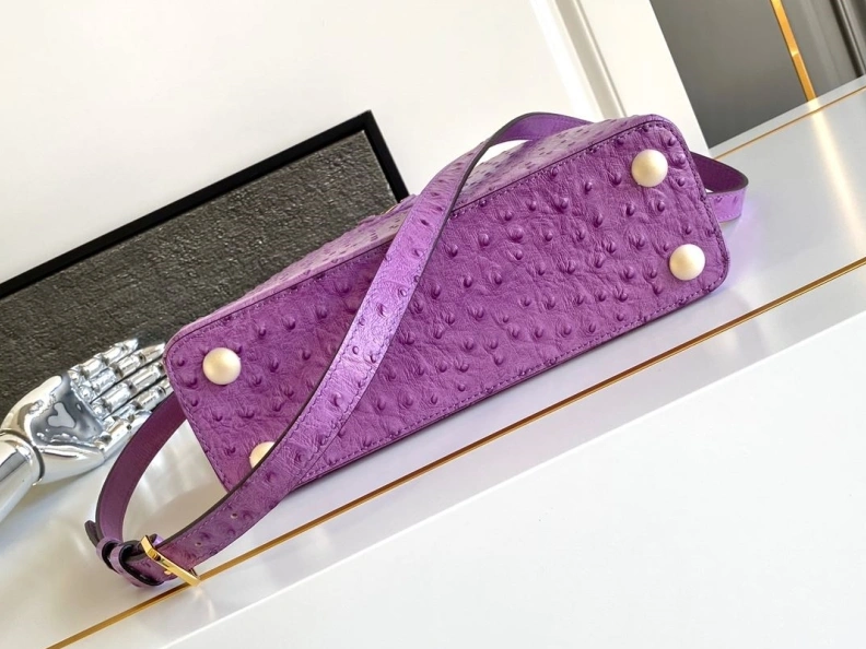 LX Caxucines Bags Fashionable 1269