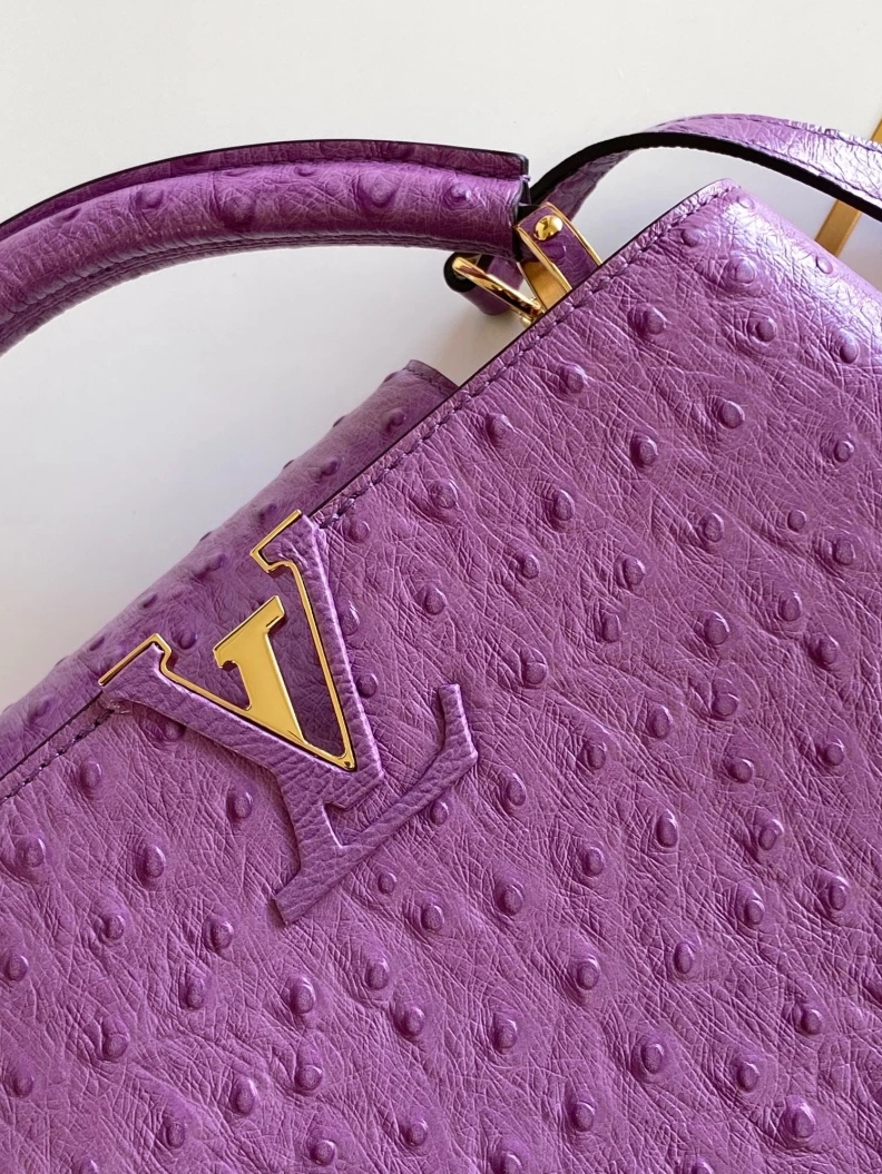 LX Caxucines Bags Fashionable 1269