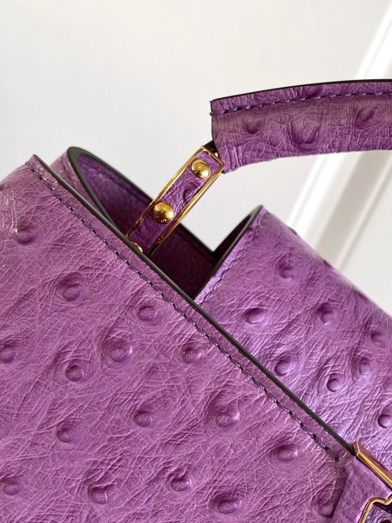 LX Caxucines Bags Fashionable 1269