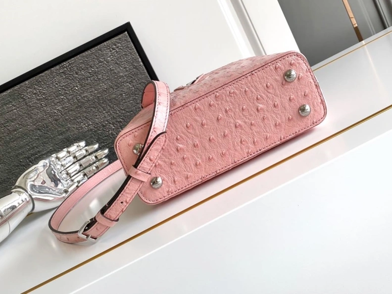 LX Caxucines Bags Flexible 1272