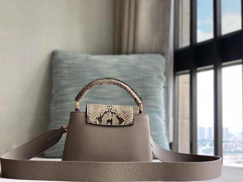 Stylish LX Caxucines Bags 1231