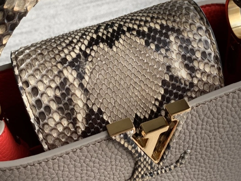 Stylish LX Caxucines Bags 1231