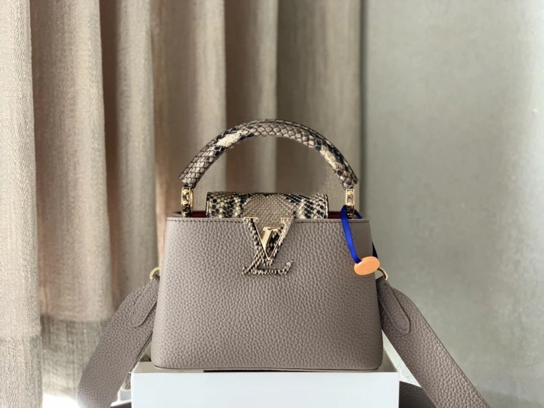 Stylish LX Caxucines Bags 1231