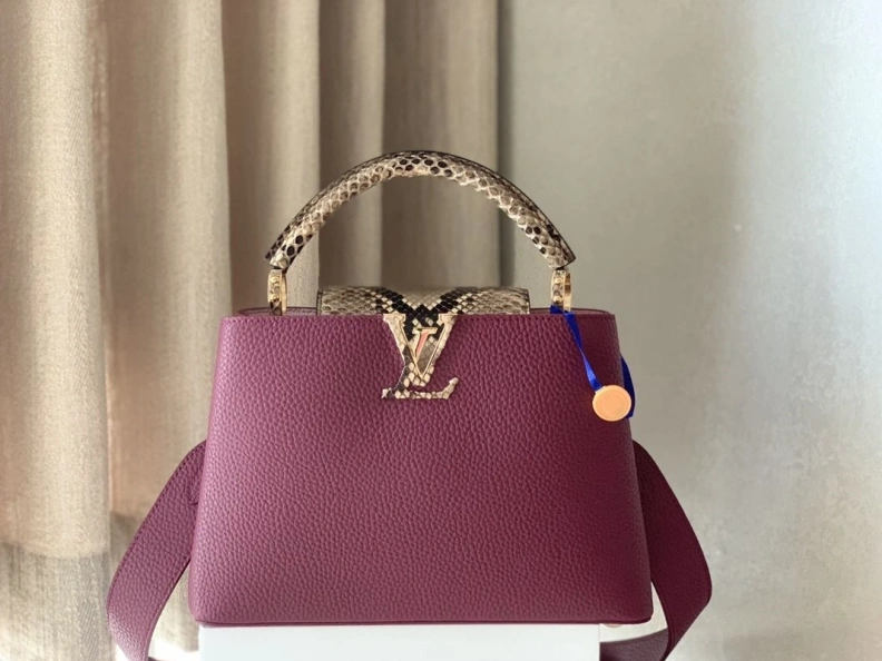 Popular LX Caxucines Bags 1239