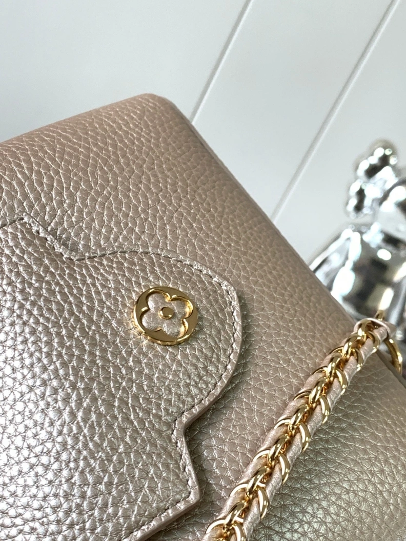 Minimalist LX Caxucines Bags 1226