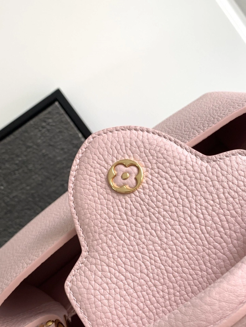 GoAnywhere LX Caxucines Bags 1183
