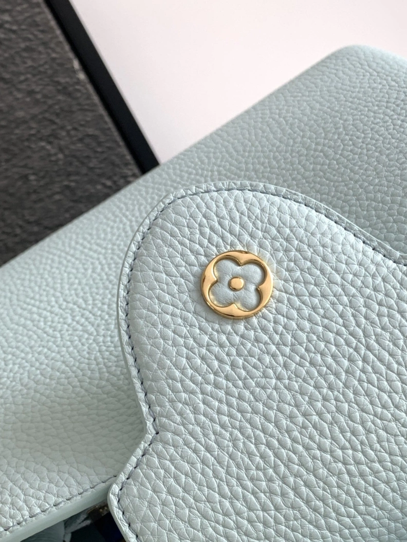 Sophisticated LX Caxucines Bags 1188
