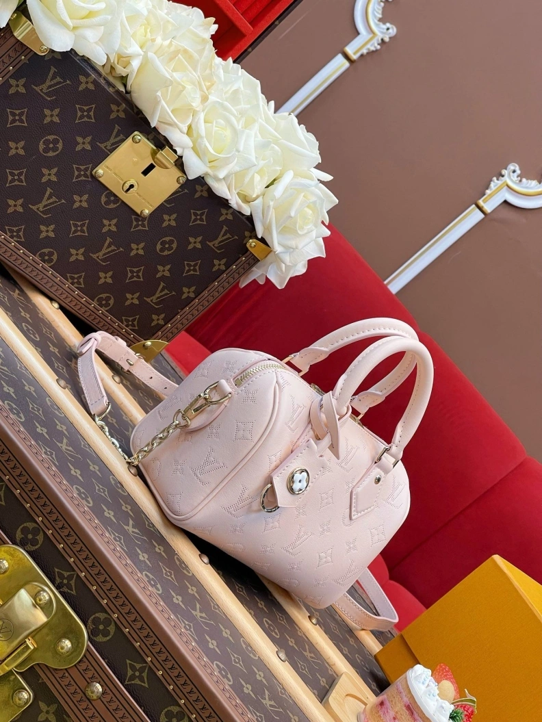 DailyWear LX Speedy Bags 1107