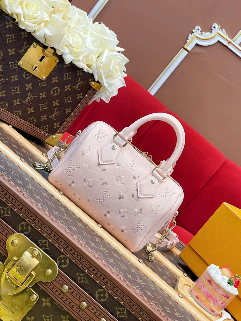 DailyWear LX Speedy Bags 1107