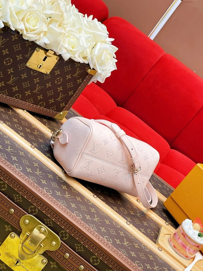 DailyWear LX Speedy Bags 1107