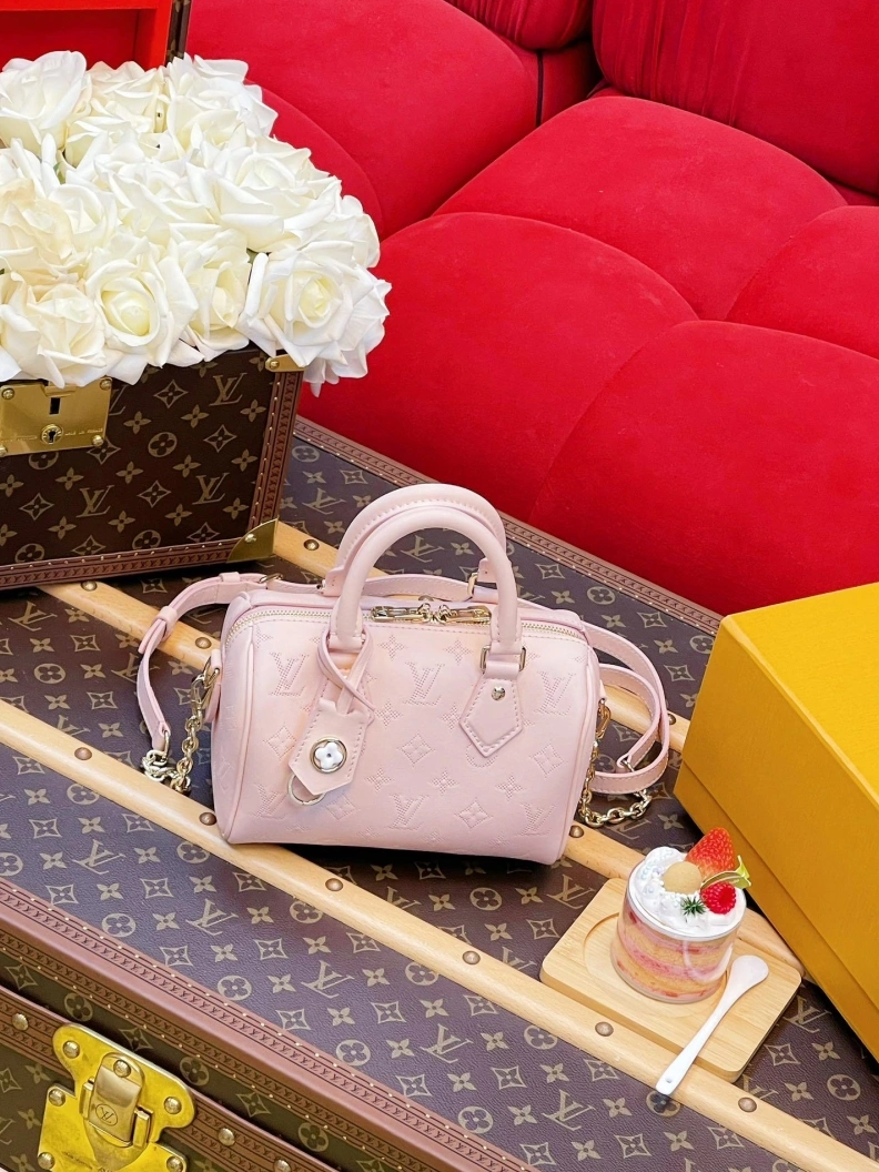 DailyWear LX Speedy Bags 1107