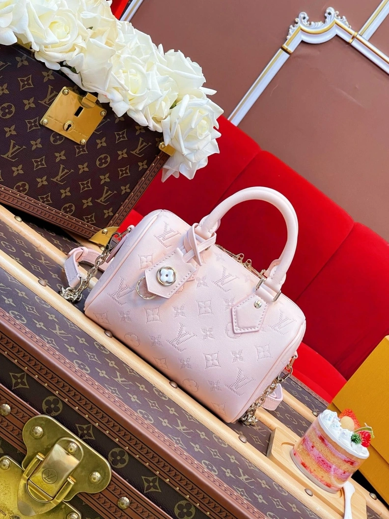 DailyWear LX Speedy Bags 1107
