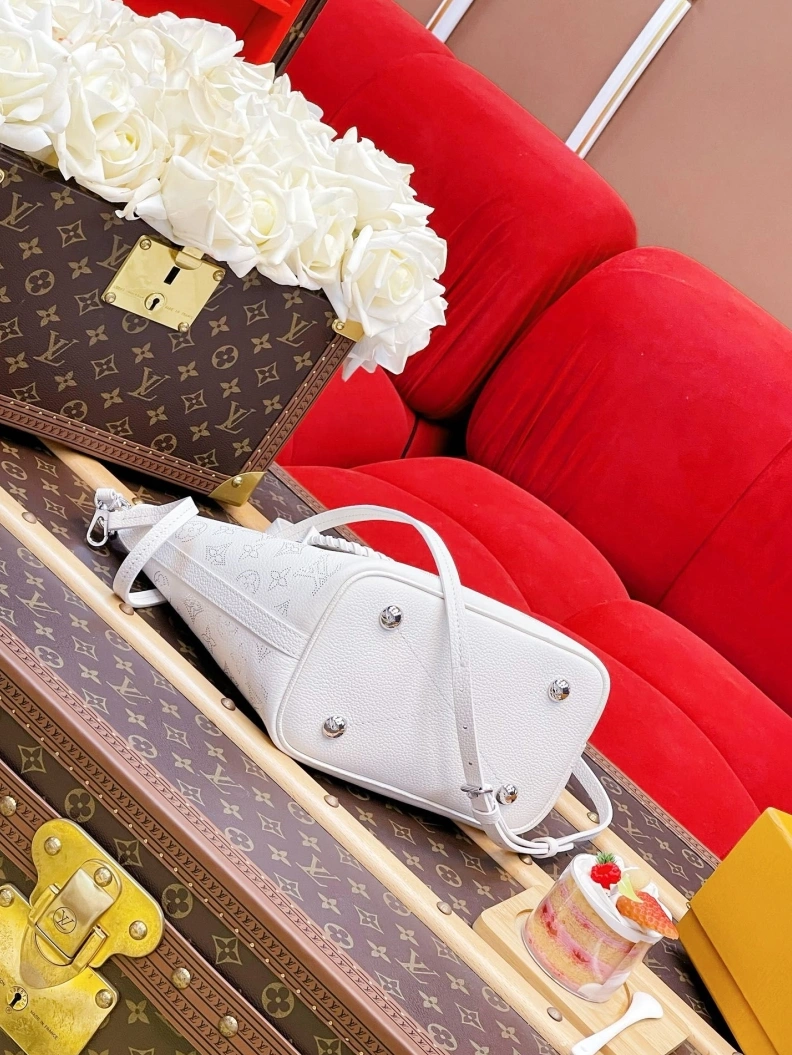 Comfortable LX Shopping Bags 1119