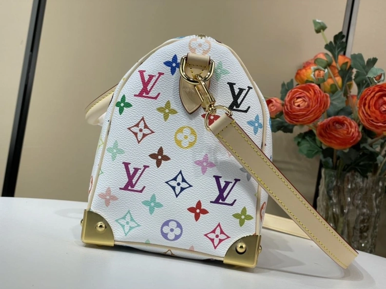 AllSeason LX Speedy Bags 1126