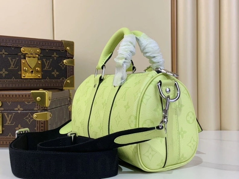 Modern LX Speedy Bags 439