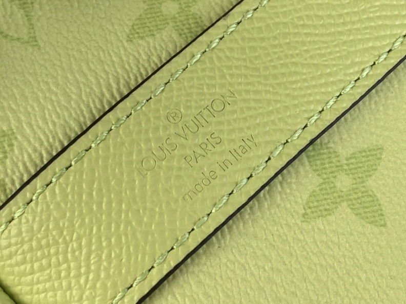 Modern LX Speedy Bags 439