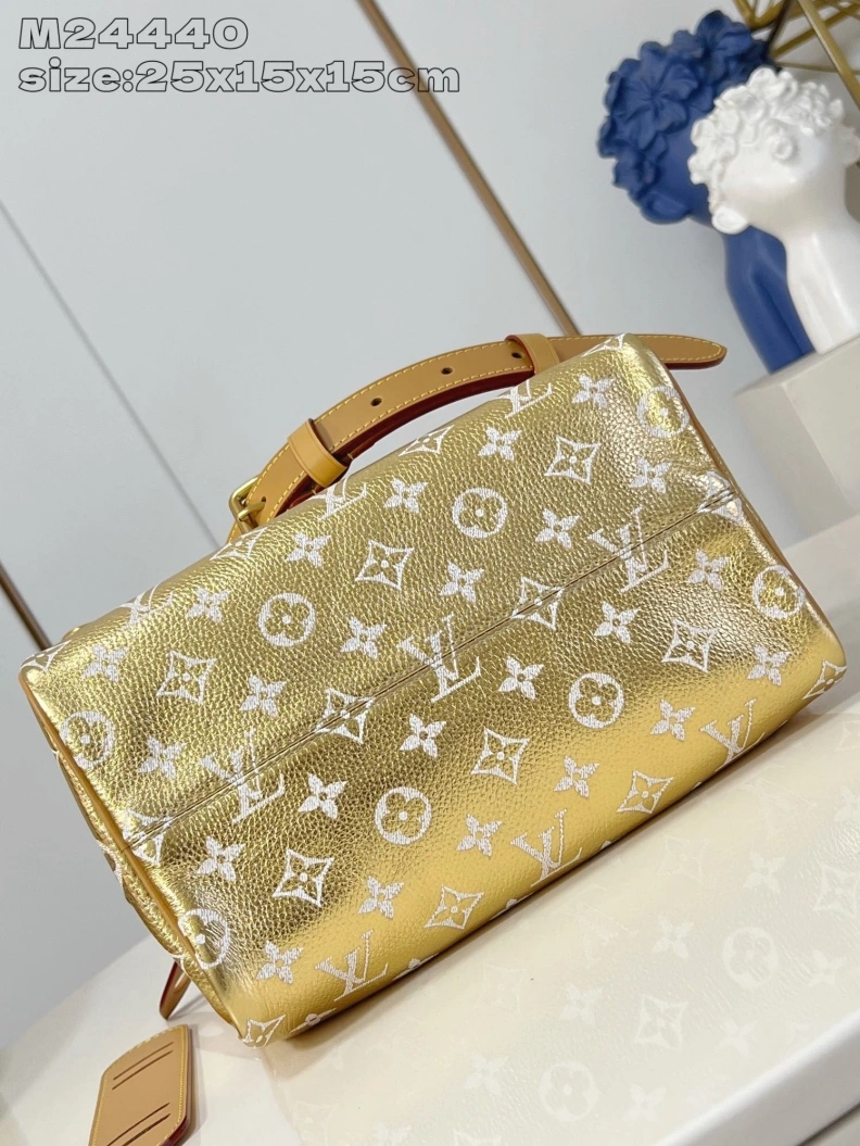 LX Speedy Bags Practical 434