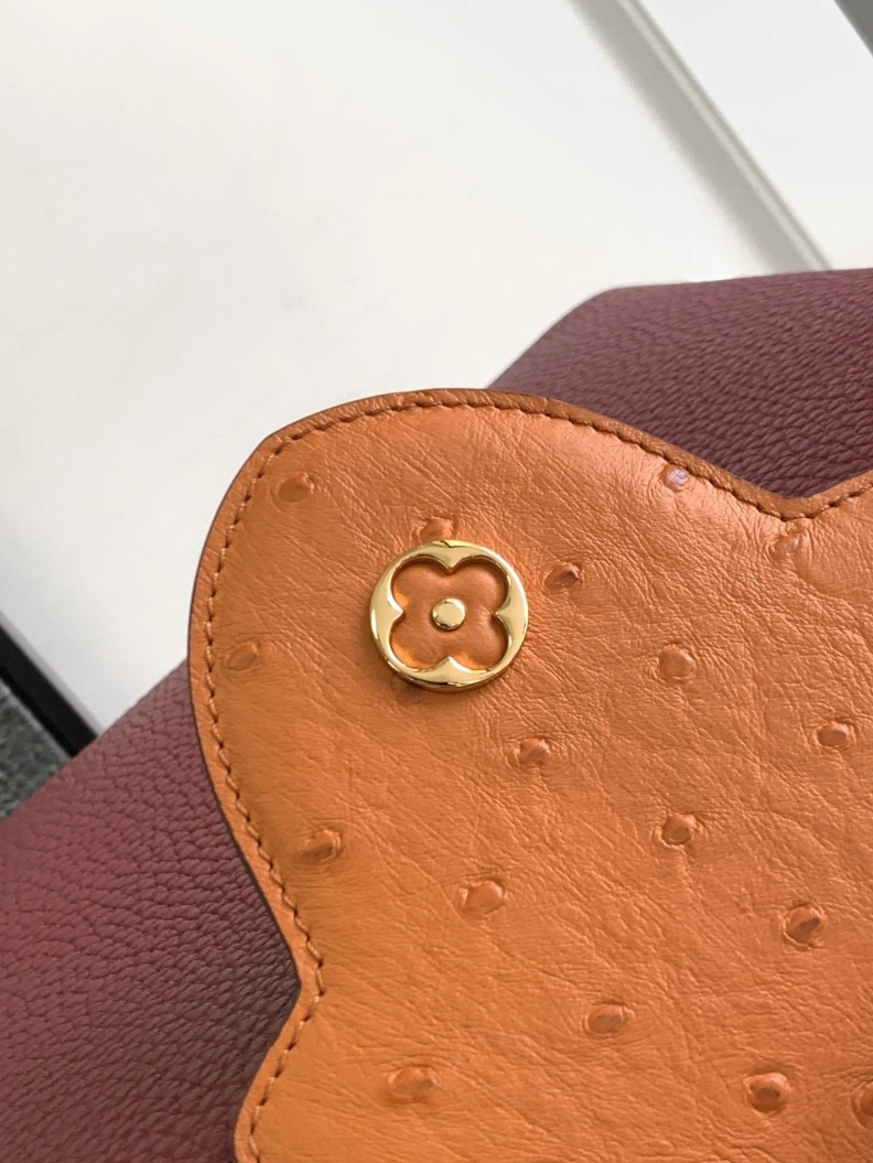 LX Caxucines Bags Vibrant 693