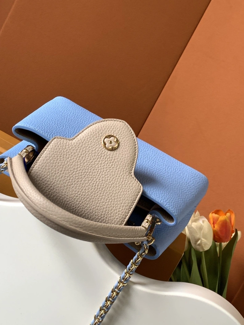 Classic LX Caxucines Bags 656