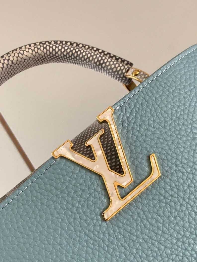 LX Caxucines Bags WellDesigned 667