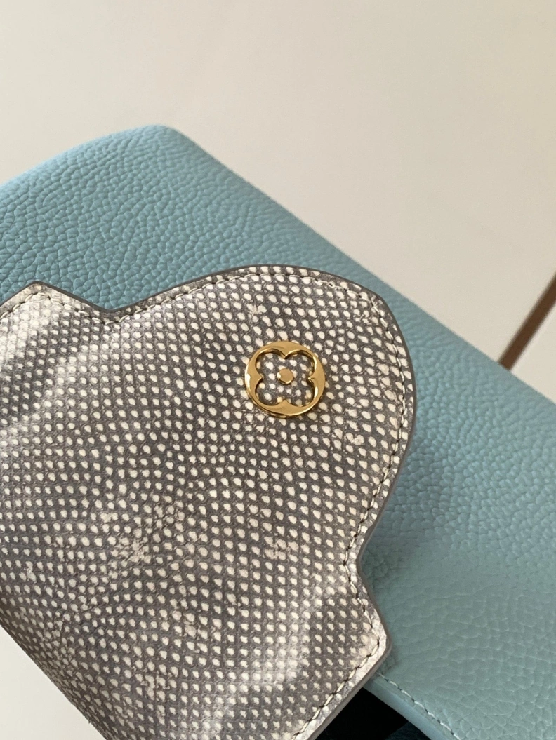 LX Caxucines Bags WellDesigned 667