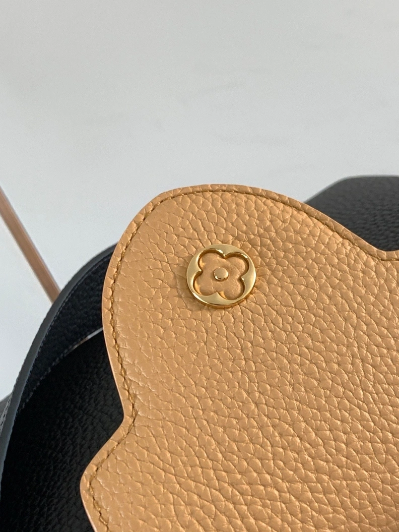Classic LX Caxucines Bags 647