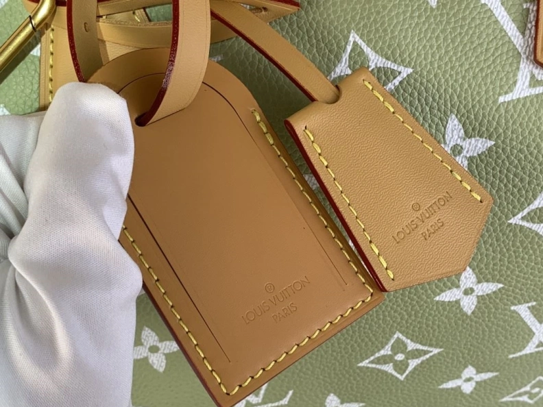 Practical LX Speedy Bags 466