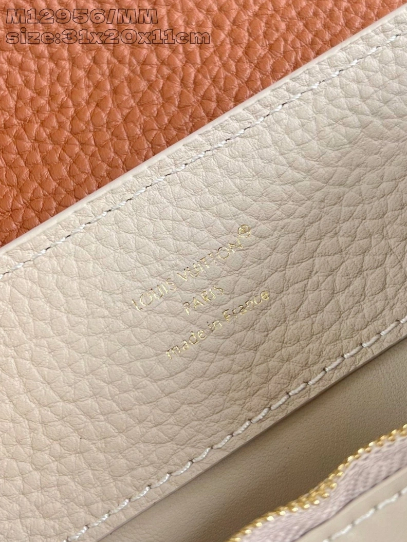 DailyWear LX Caxucines Bags 629