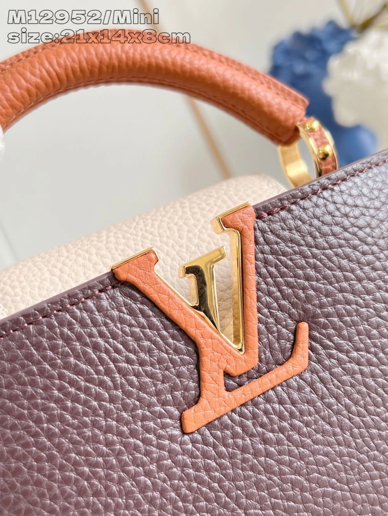 Fashionable LX Caxucines Bags 609